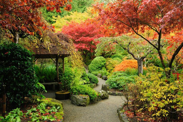 Le tour du monde de l’aménagement de jardins