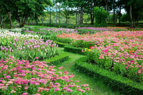 Comment créer un jardin paysager à l’anglaise ?