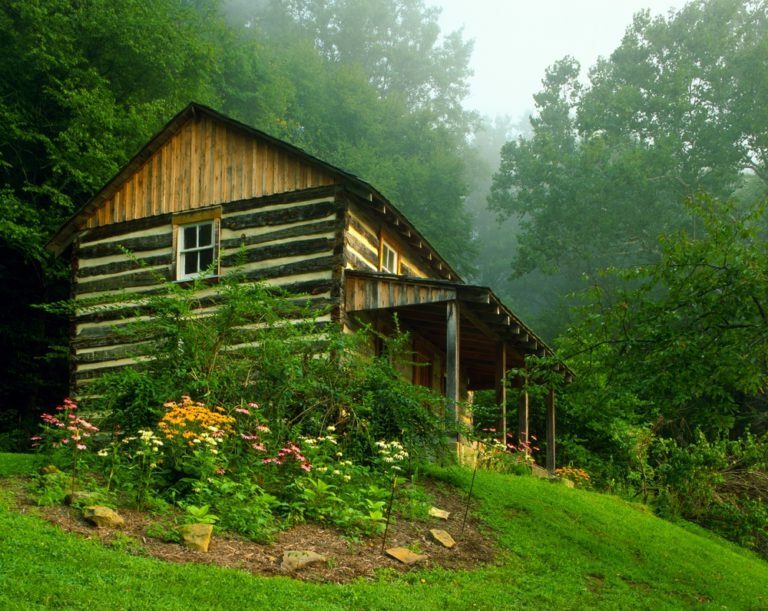 Aménager et réussir son jardin de montagne