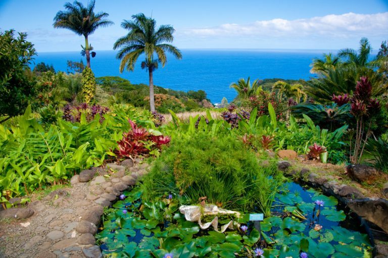 Aménager un jardin en bord de mer