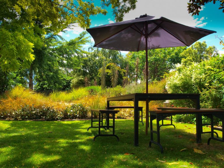 Aménagement jardin : de la fraîcheur au jardin pour l’été !