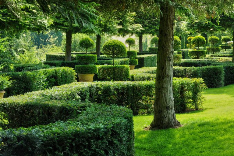 quand élaguer ses arbres