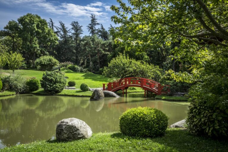 Aménagement d’un jardin japonais