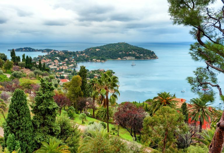 Aménager un jardin méditerranéen