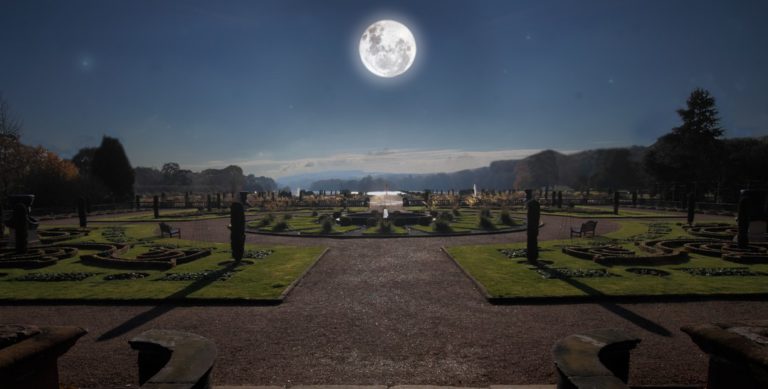 Jardiner avec la lune