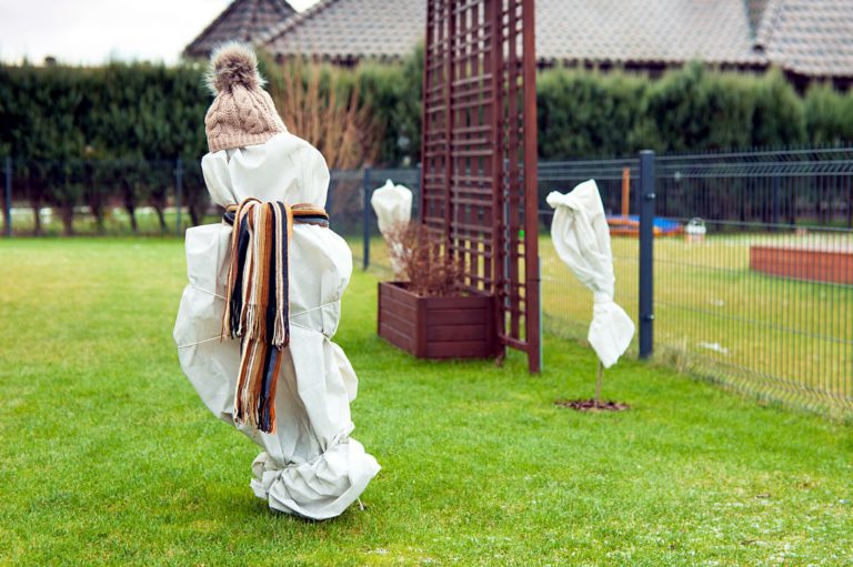 Le voile d'hivernage pour mon jardin