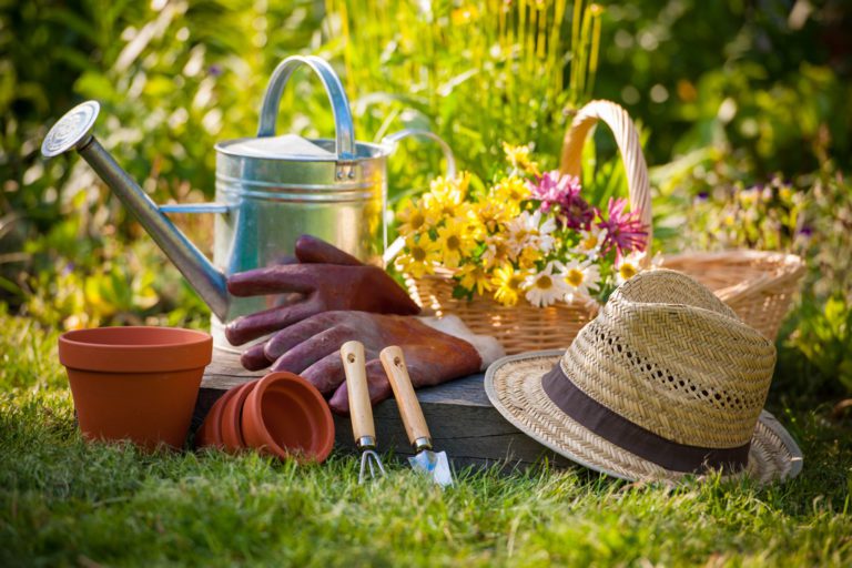 Bien se lancer dans le jardinage