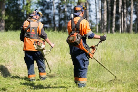 Débroussaillage : les réglementations