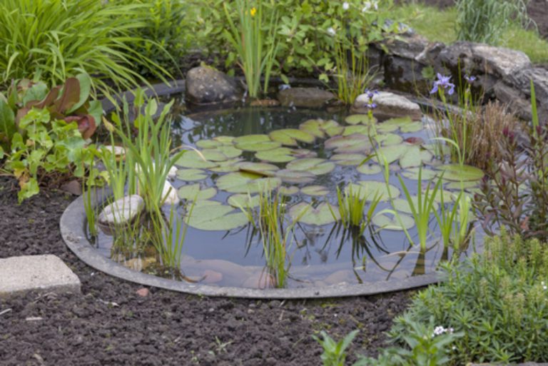 Créer un bassin dans son jardin