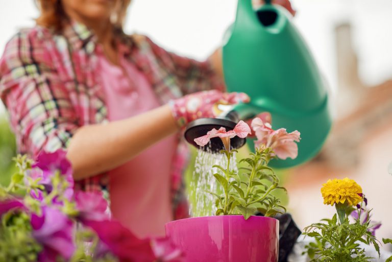 entretien jardin