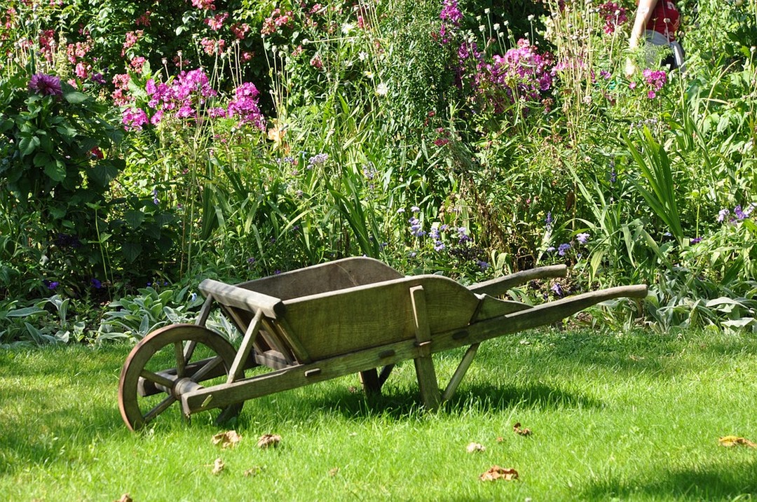 5 éléments indispensables d’un jardin réussi