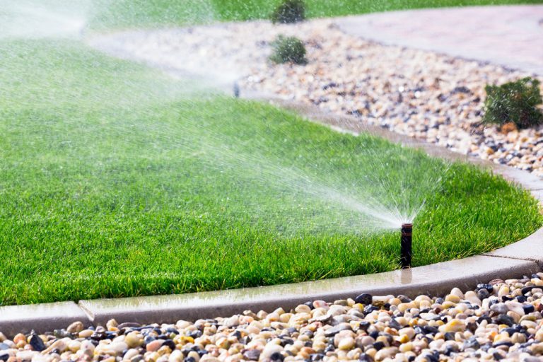 Systèmes d'arrosage: En été, ne laissez pas votre jardin et vos plantes  souffrir de la sécheresse