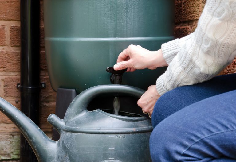 Comment économiser l’eau dans son jardin ?