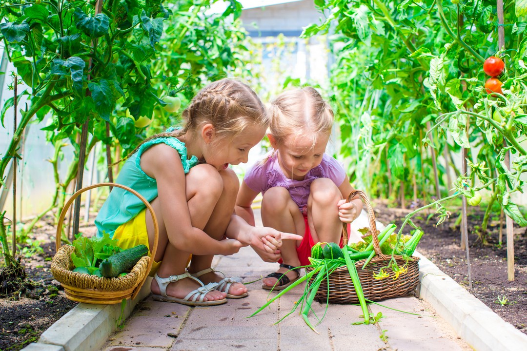 Les Jardins Collectifs Quels Avantages
