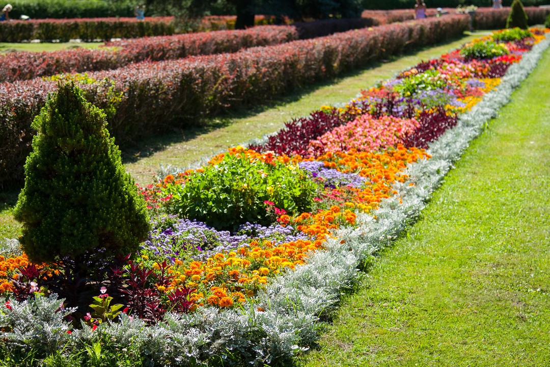 Comment faire un parterre de fleurs