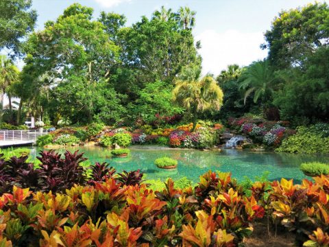 Tous nos conseils pour aménager votre jardin