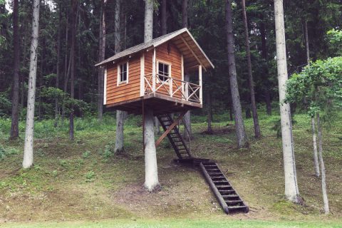 Construire une cabane dans son jardin