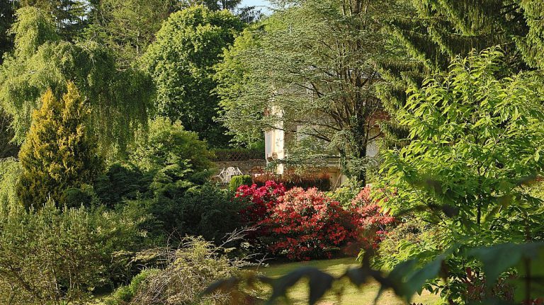 Bien choisir ses plantes pour un jardin sous-bois