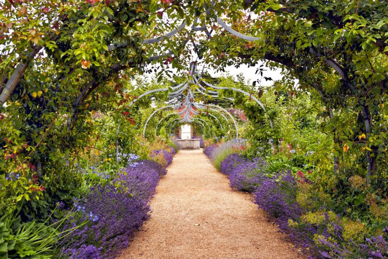 Aménagement d’un jardin anglais : comment faire ?