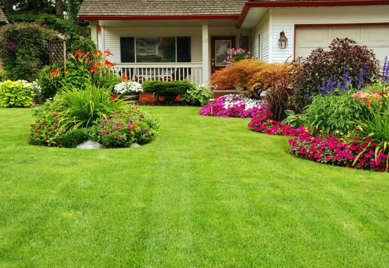 gazon parfait et massifs de fleurs