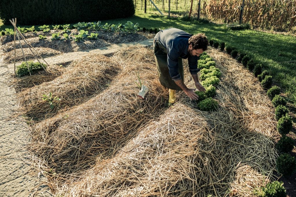 préparation des sols permaculture