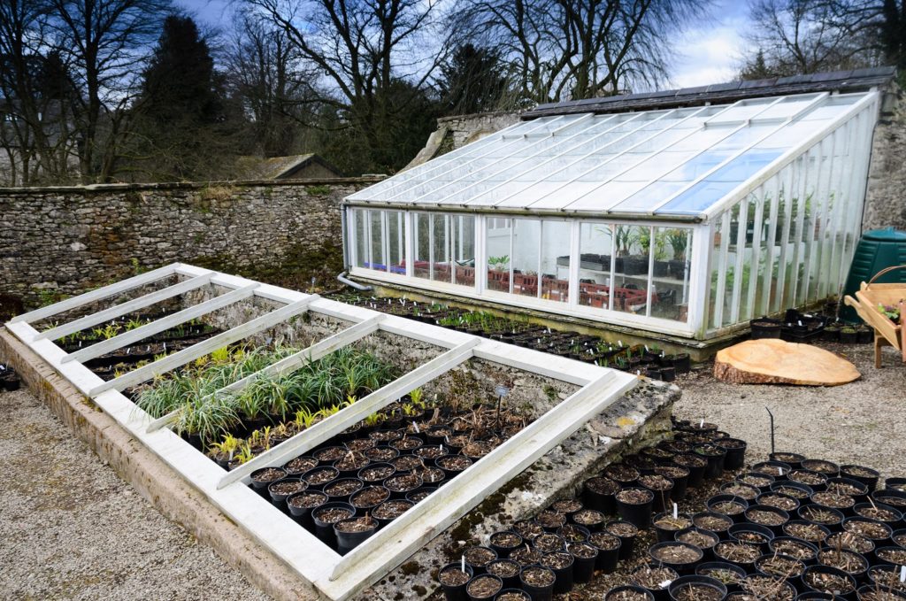 serres de jardin pour cultures