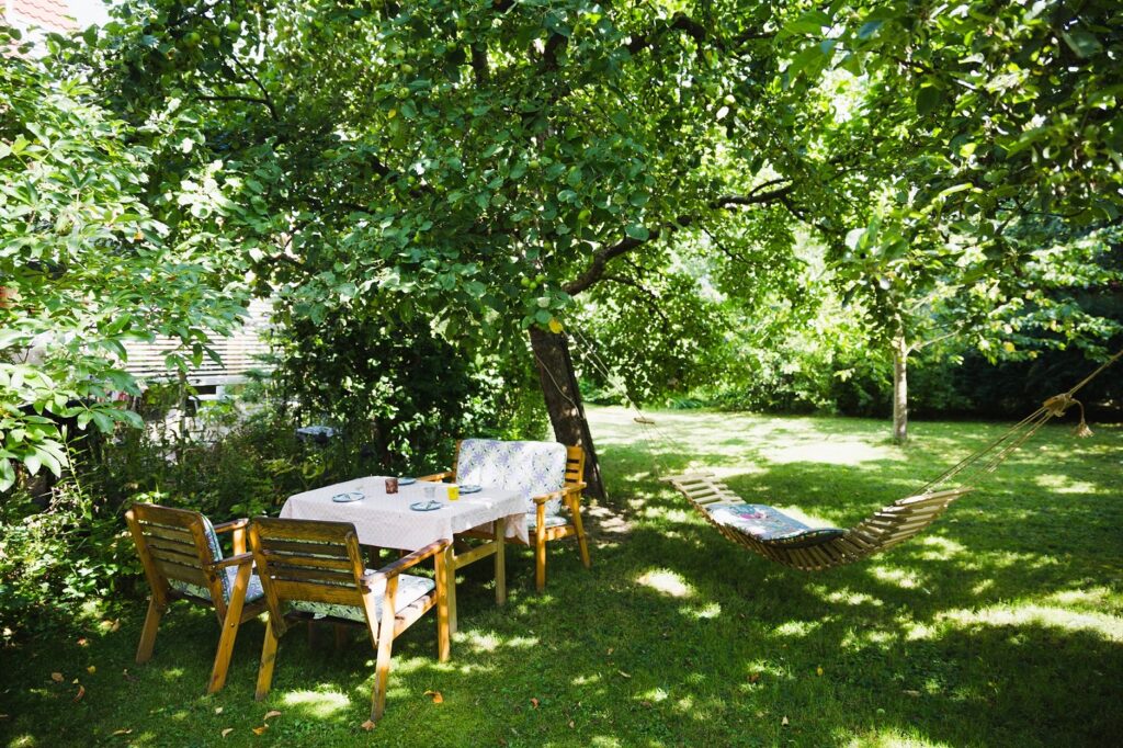 mobilier de jardin à l'ombre des arbres