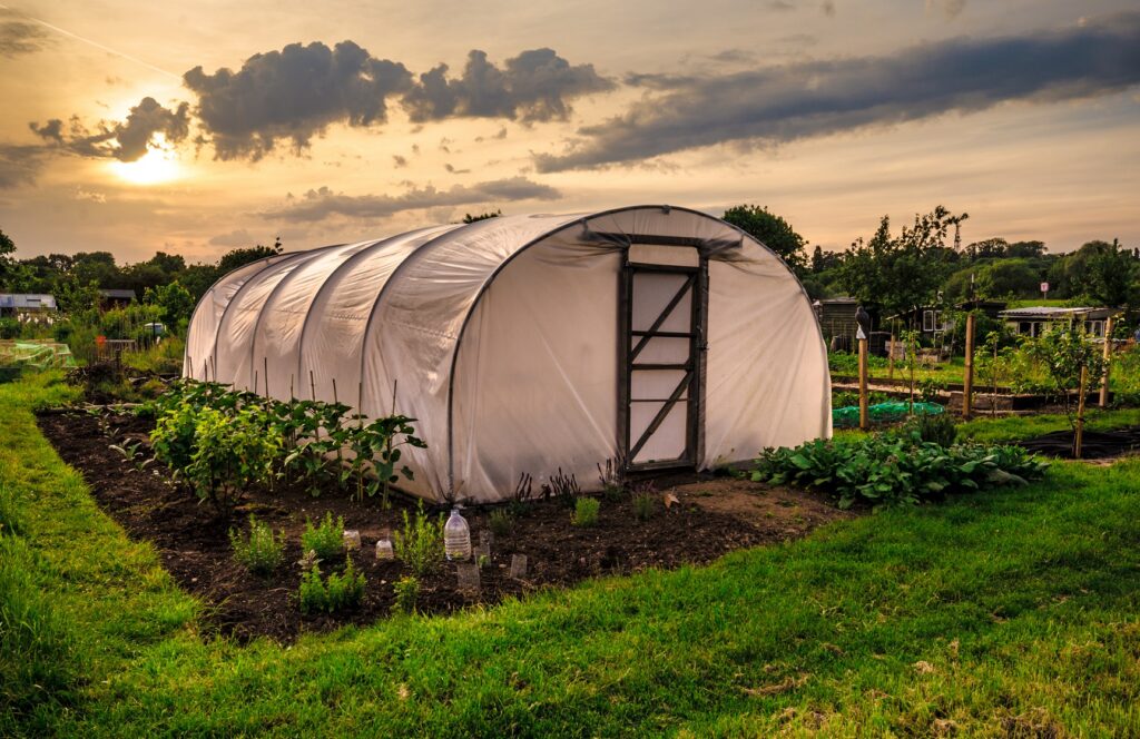 serre tunnel pour potager