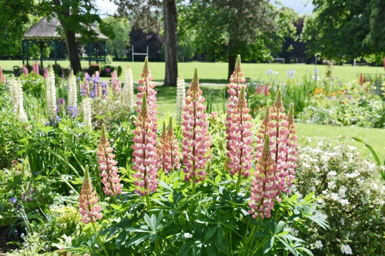 jardin sensoriel